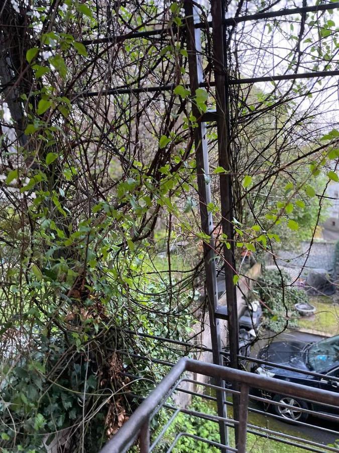Apartment Schoene In Zentraler Lage Im Ruhrgebiet Witten